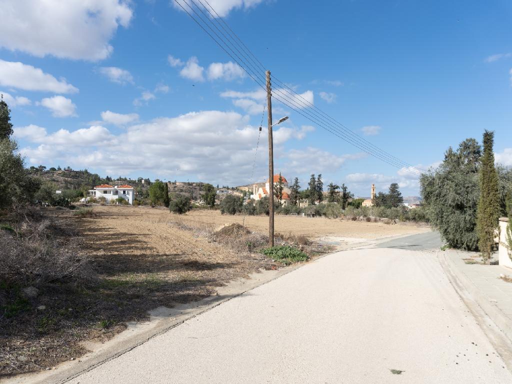Field-Mammari-PR34966