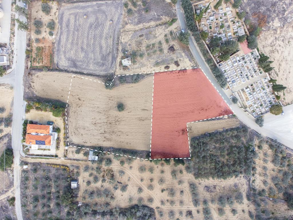 Field-Mammari-PR34966