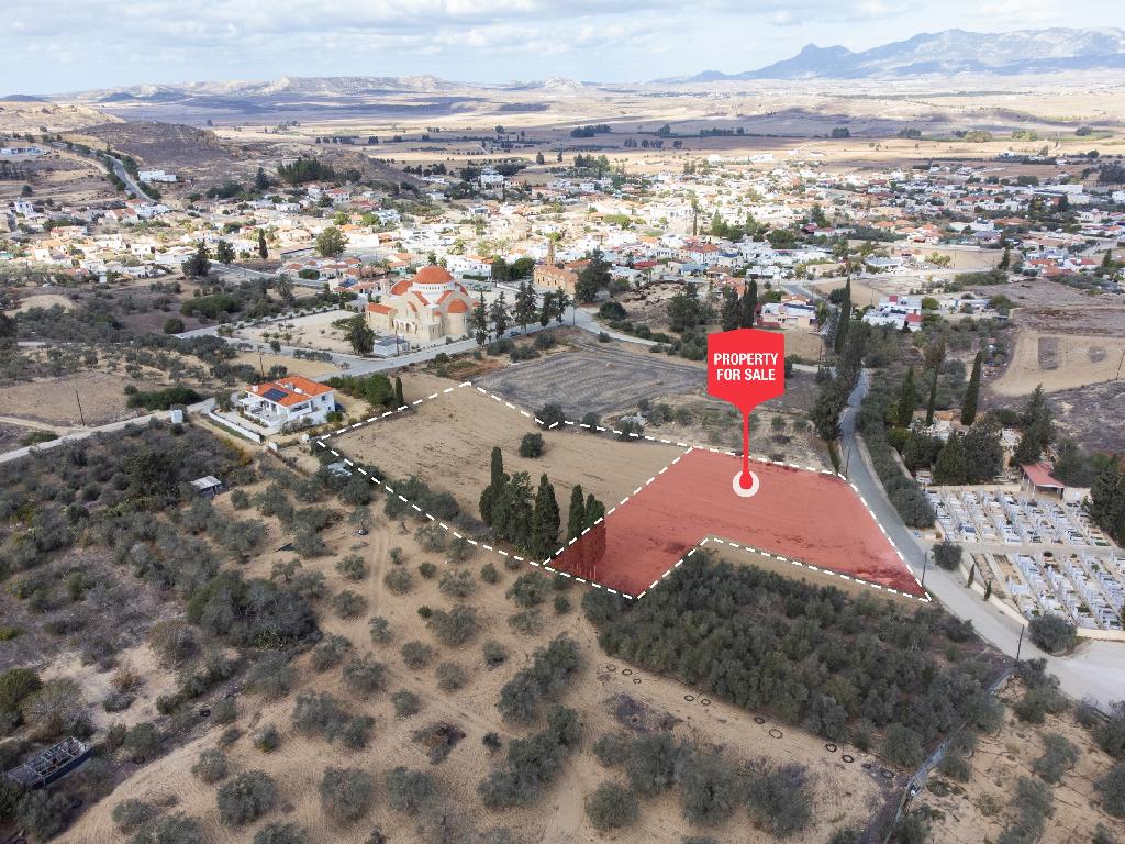 Field-Mammari-PR34966