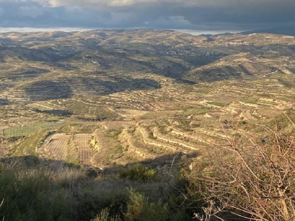 Field - Pachna, Limassol