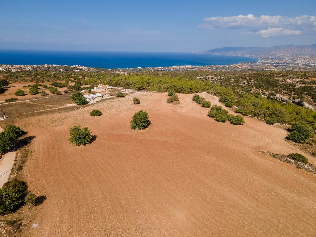 Field - Neo Chorio, Paphos