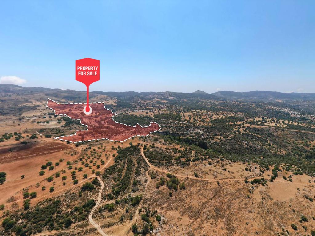 Field - Neo Chorio, Paphos