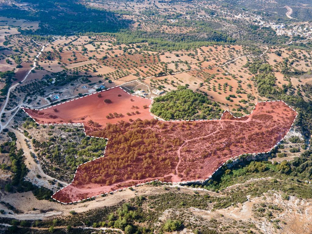 Field - Neo Chorio, Paphos