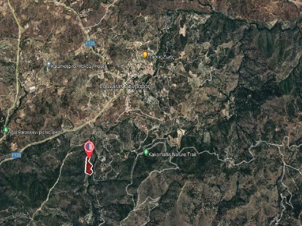 Field-Louvaras-PR36041