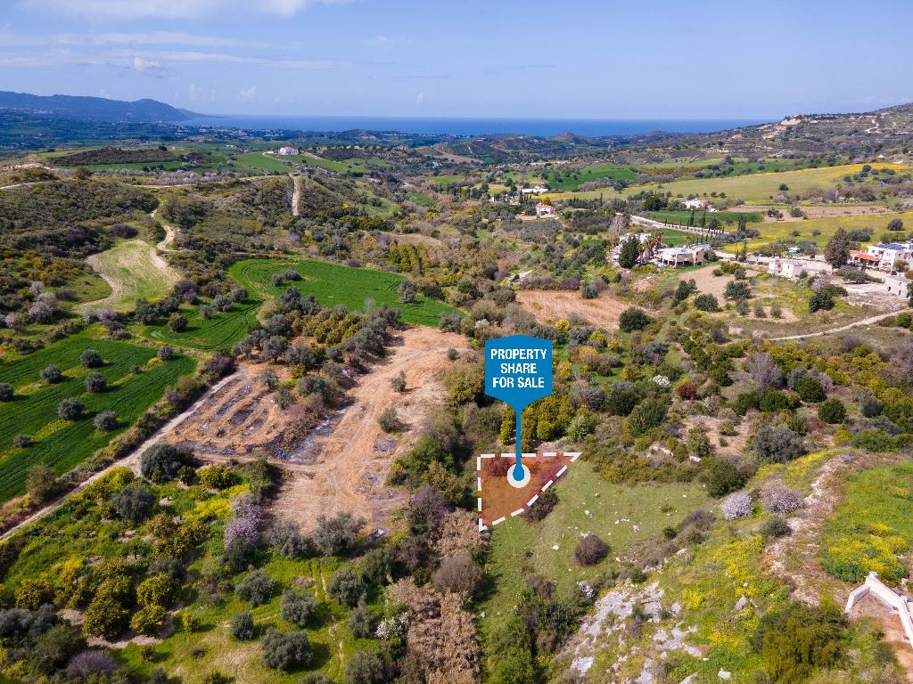 Field (Share) - Steni, Paphos