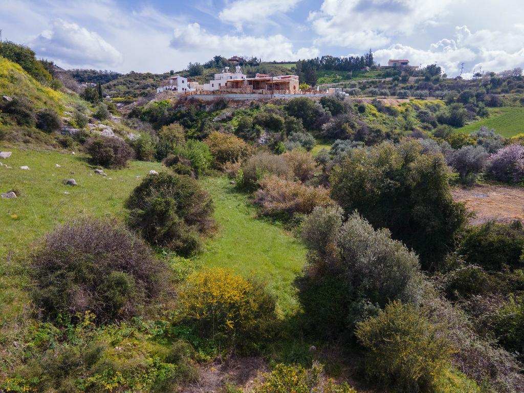 Field (Share) - Steni, Paphos