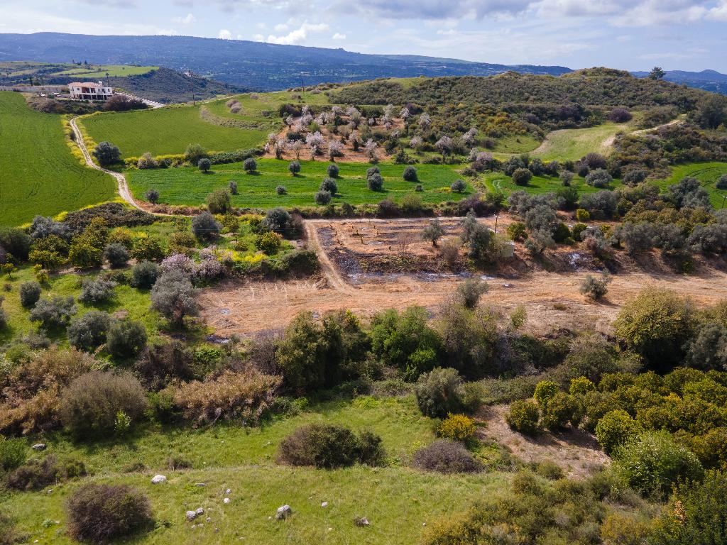 Field (Share) - Steni, Paphos