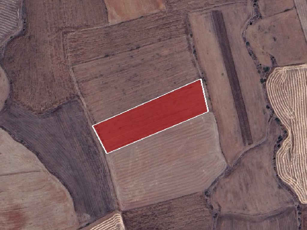 Field - Kato Koutrafas, Nicosia