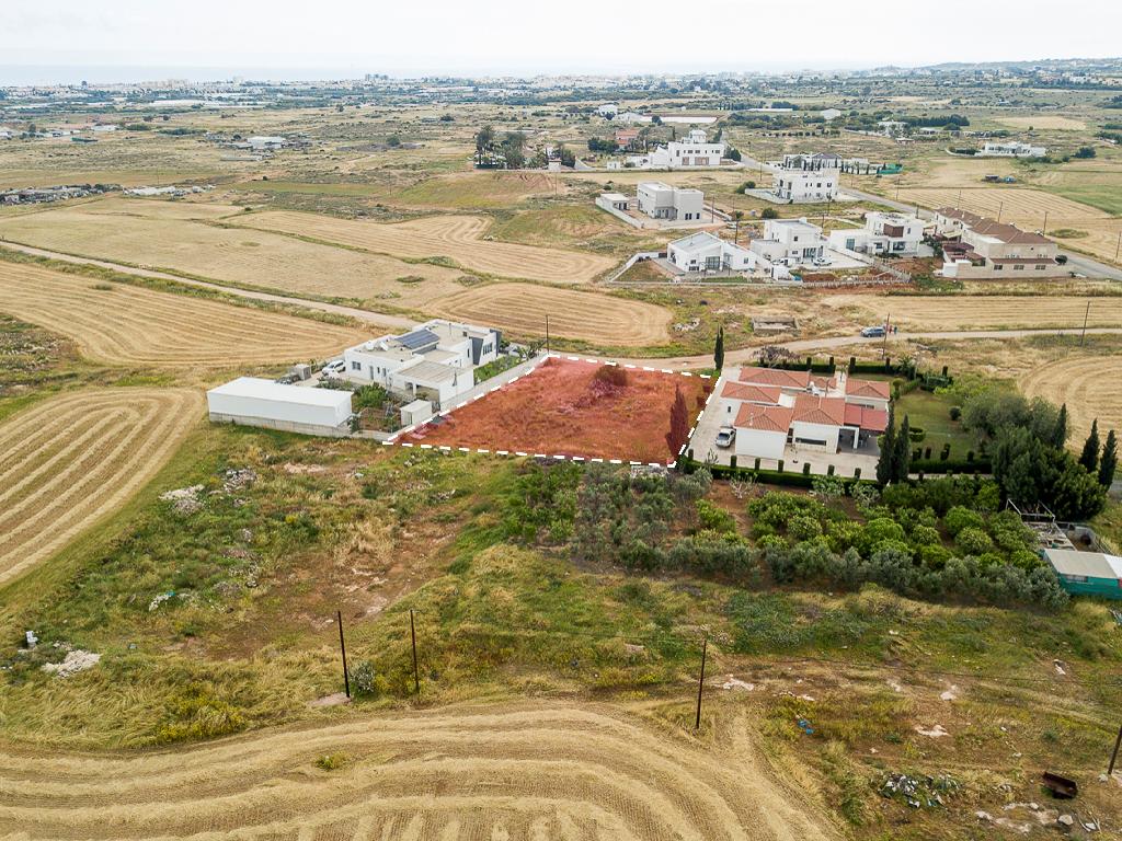 Field - Paralimni, Famagusta