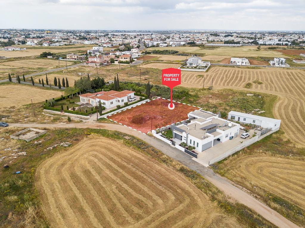 Field-Paralimni-PR40416