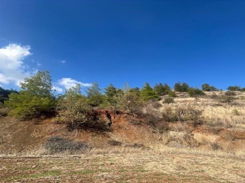 Field - Xyliatos, Nicosia