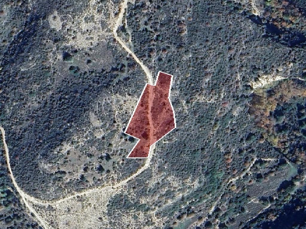 Field-Dora-PR41490