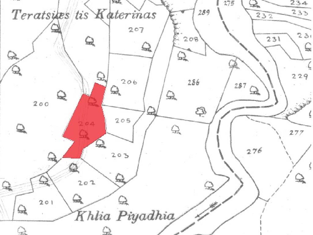 Field-Dora-PR41490