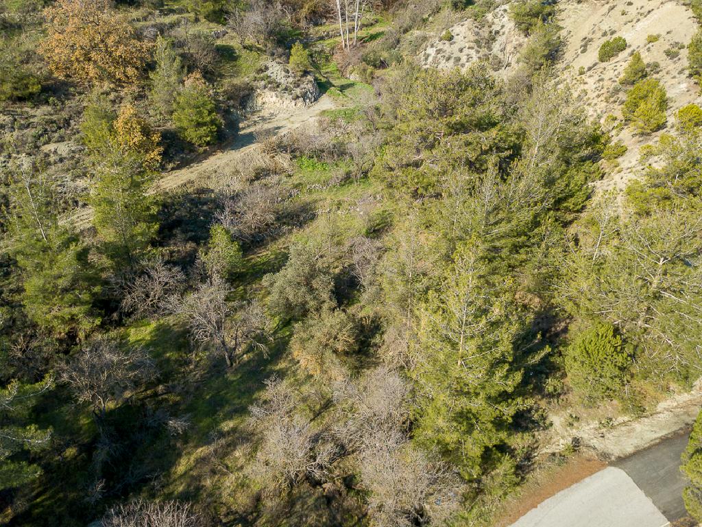 Field-Agros-PR41661