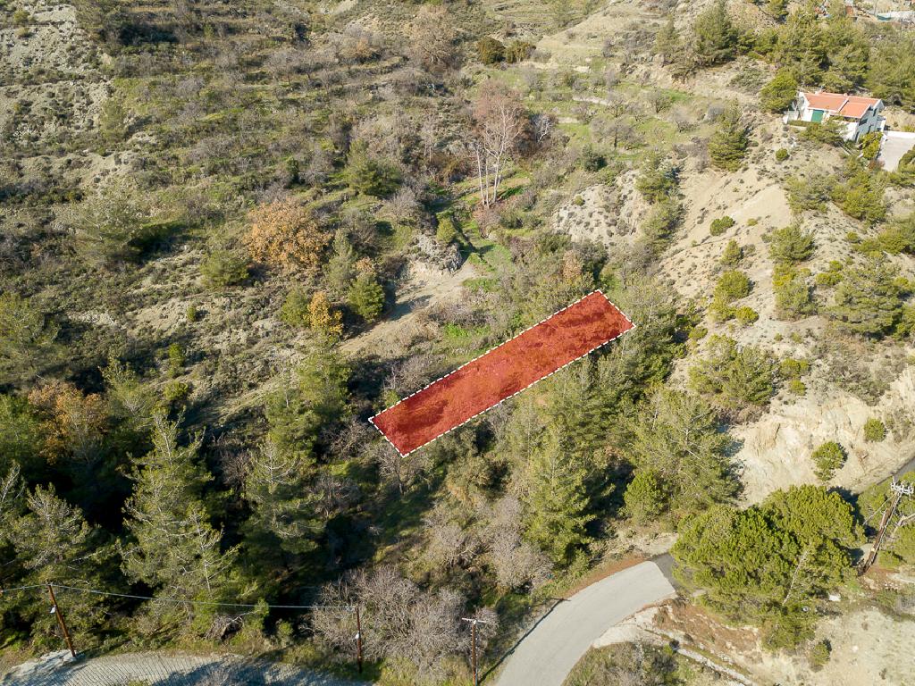 Field-Agros-PR41661