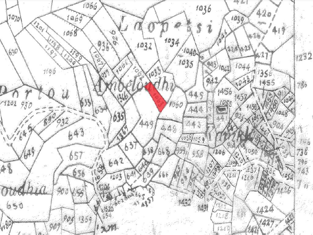 Field-Agios Therapon-PR41992