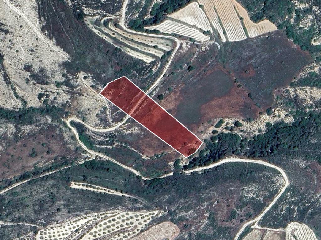 Field-Pachna-PR43073
