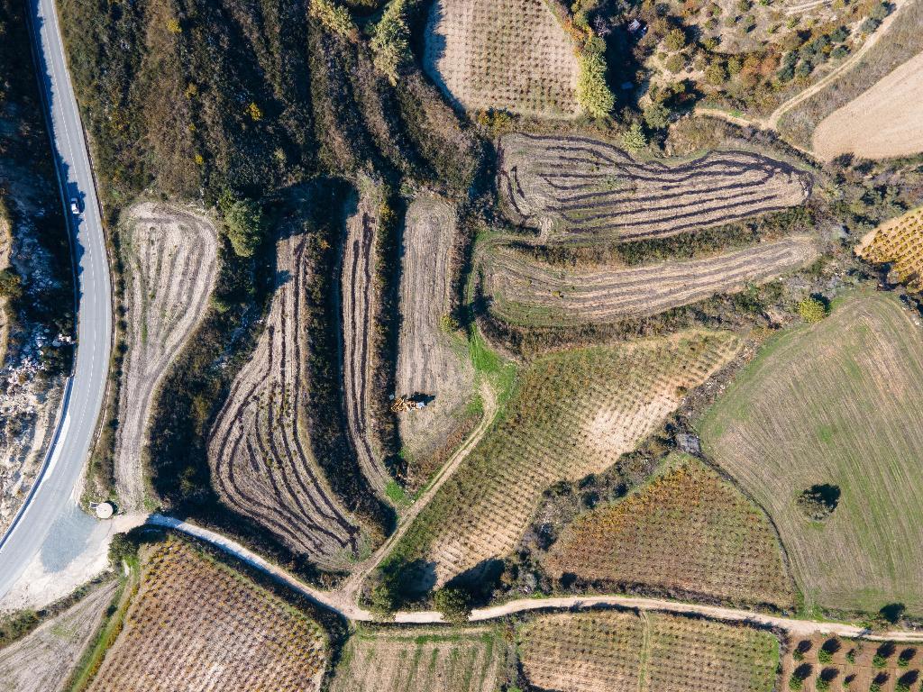 Field-Stroumpi-CP10197