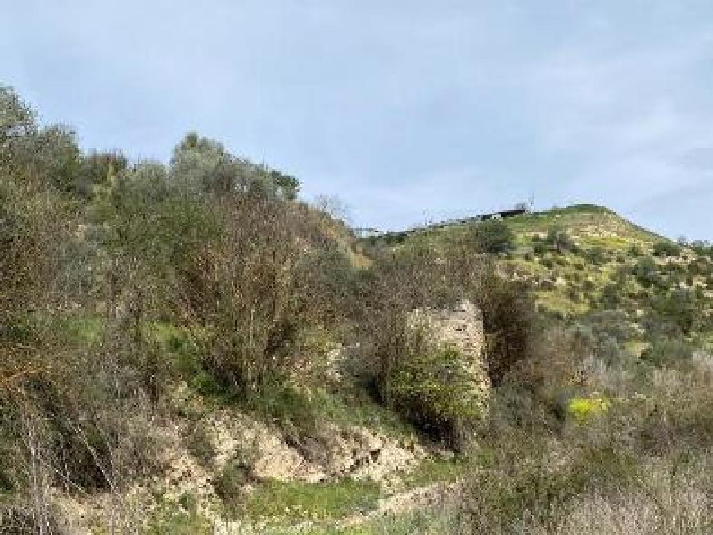 Field - Amargeti, Paphos