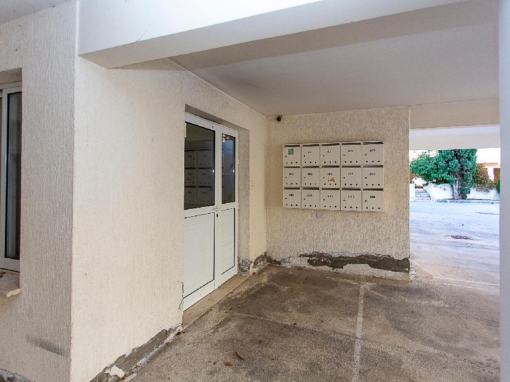 Flat-Pegeia-PR46290