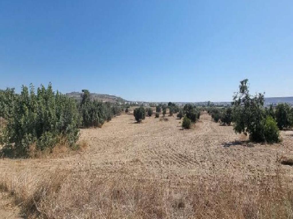 Field (Share) - Voroklini, Larnaca