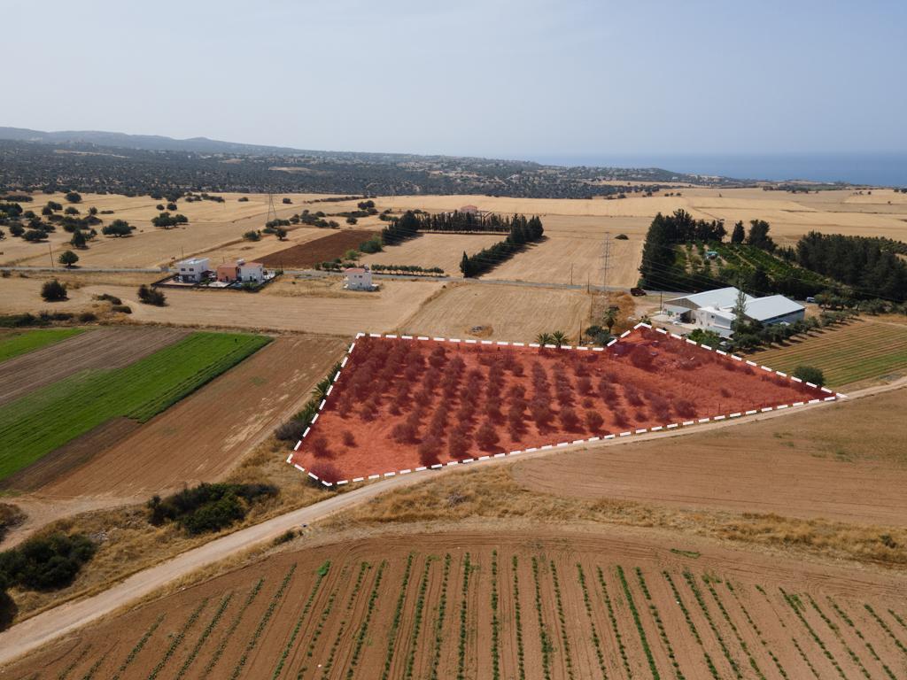 Field - Kouklia, Paphos