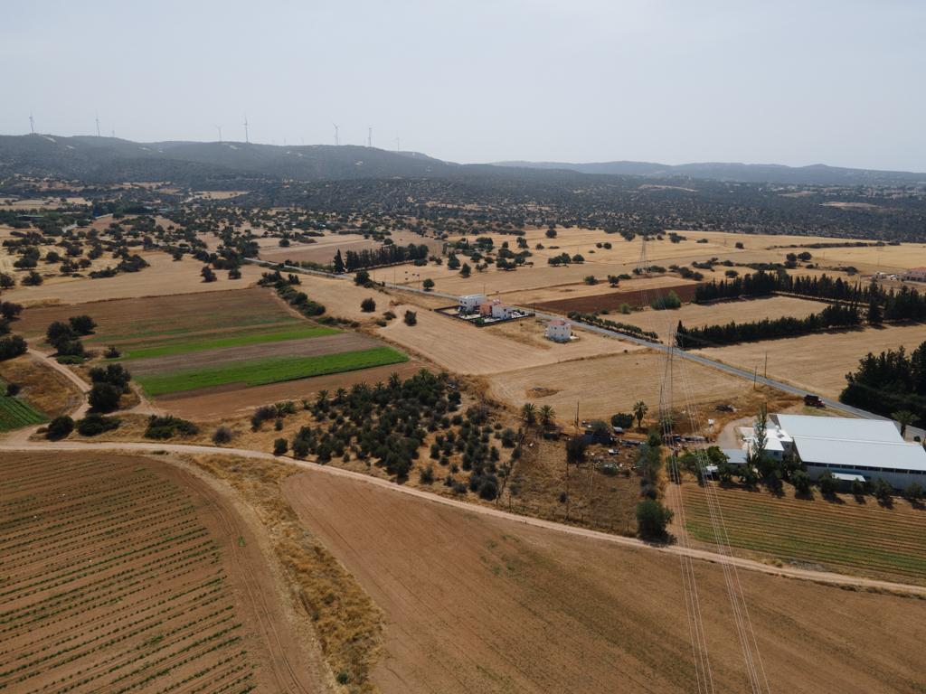 Field - Kouklia, Paphos