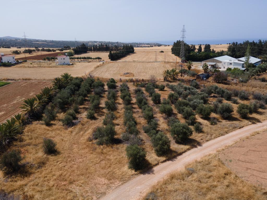 Field-Kouklia-PR15242