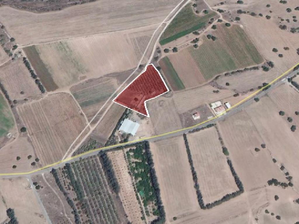 Field-Kouklia-PR15242