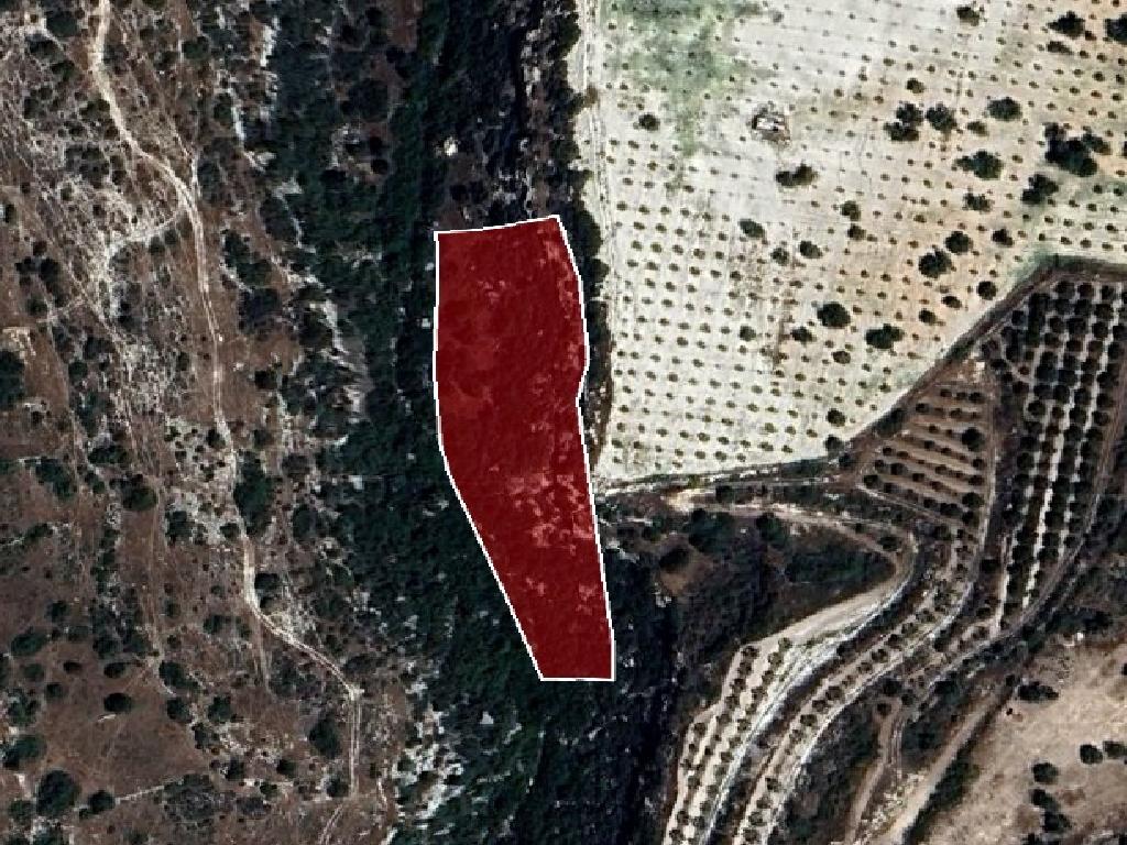Field-Avdimou-PR32916