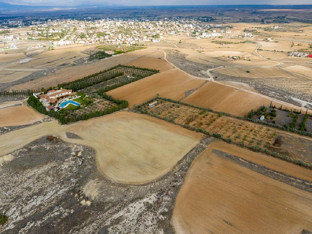 Field - Geri, Nicosia