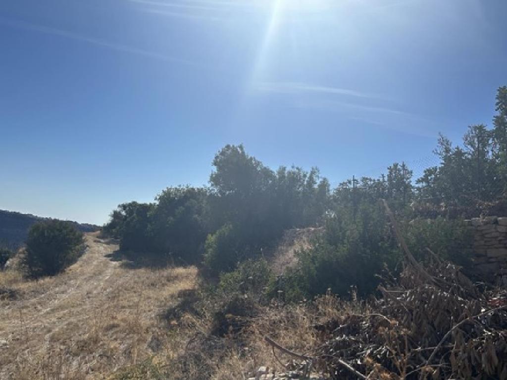 Field - Pachna, Limassol