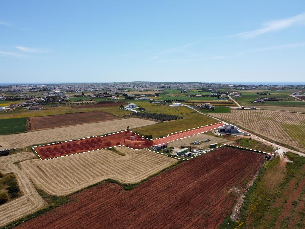 Field (Share) - Xylophagou, Larnaca
