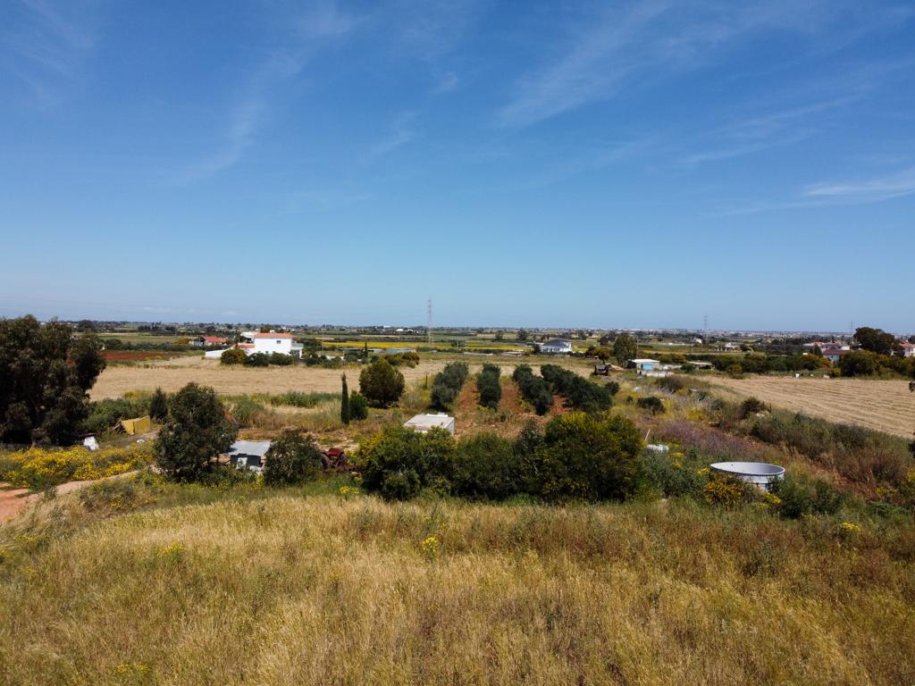 Field (Share) - Xylophagou, Larnaca