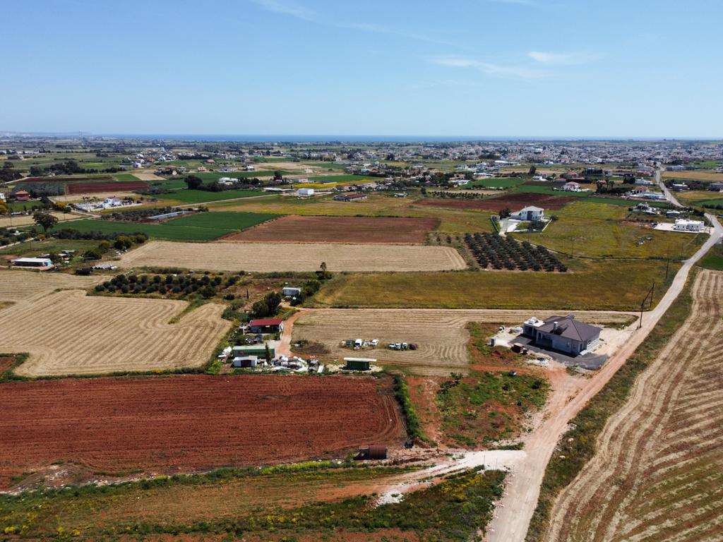 Field (Share) - Xylophagou, Larnaca