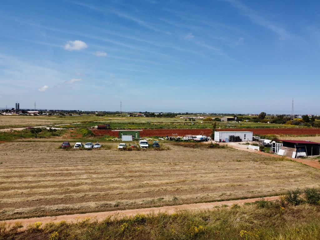 Field (Share) - Xylophagou, Larnaca