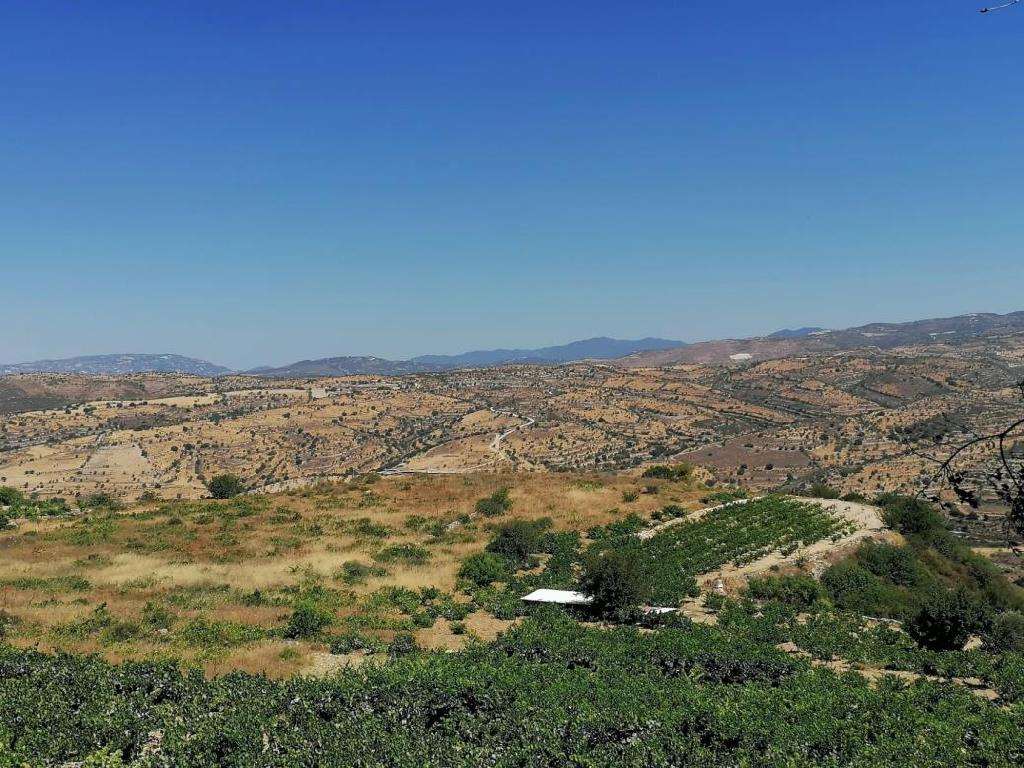 Field-Pachna-PR36906