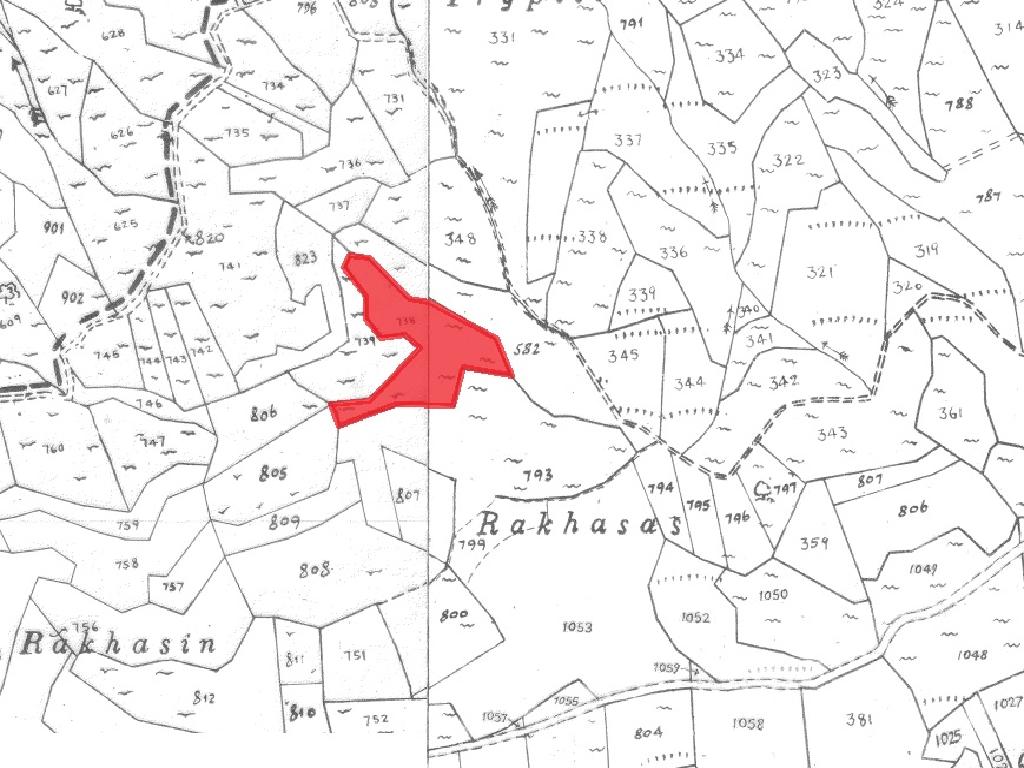 Field-Pachna-PR36906