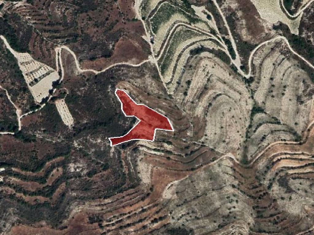 Field-Pachna-PR36906