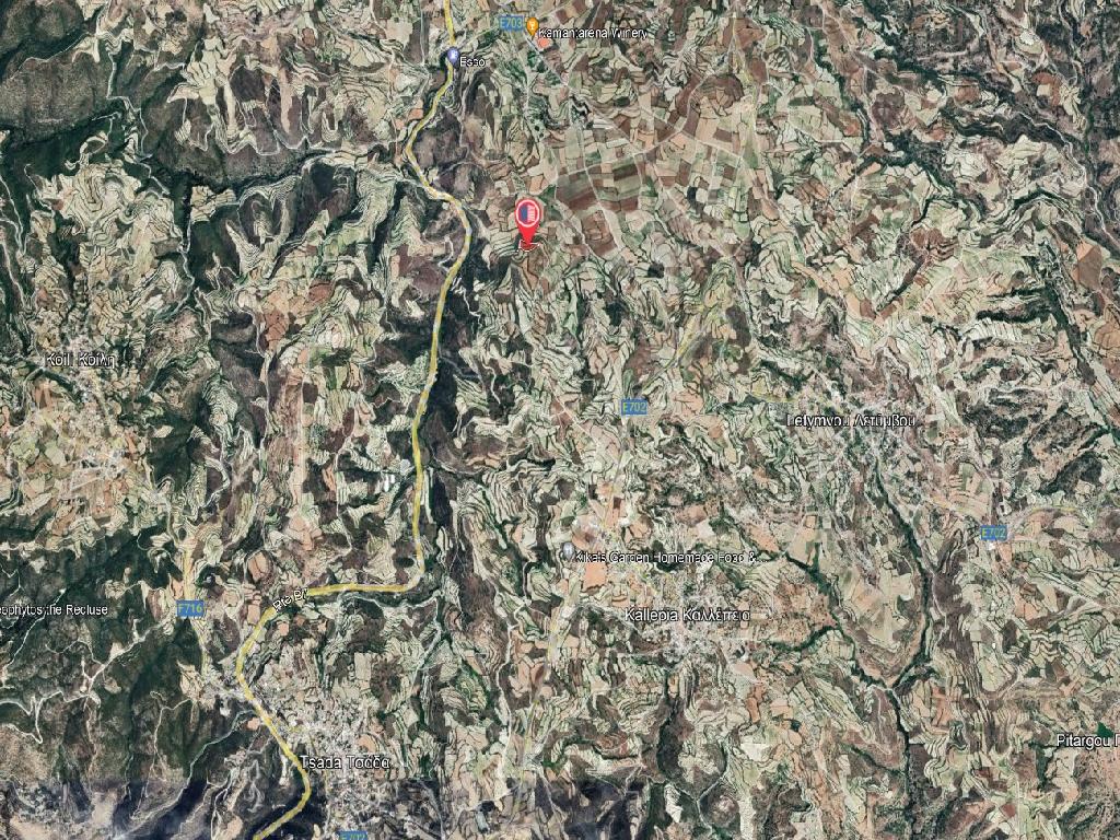 Field-Kallepeia-PR37371