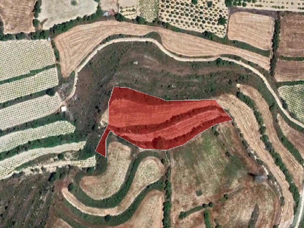 Field-Kallepeia-PR37371