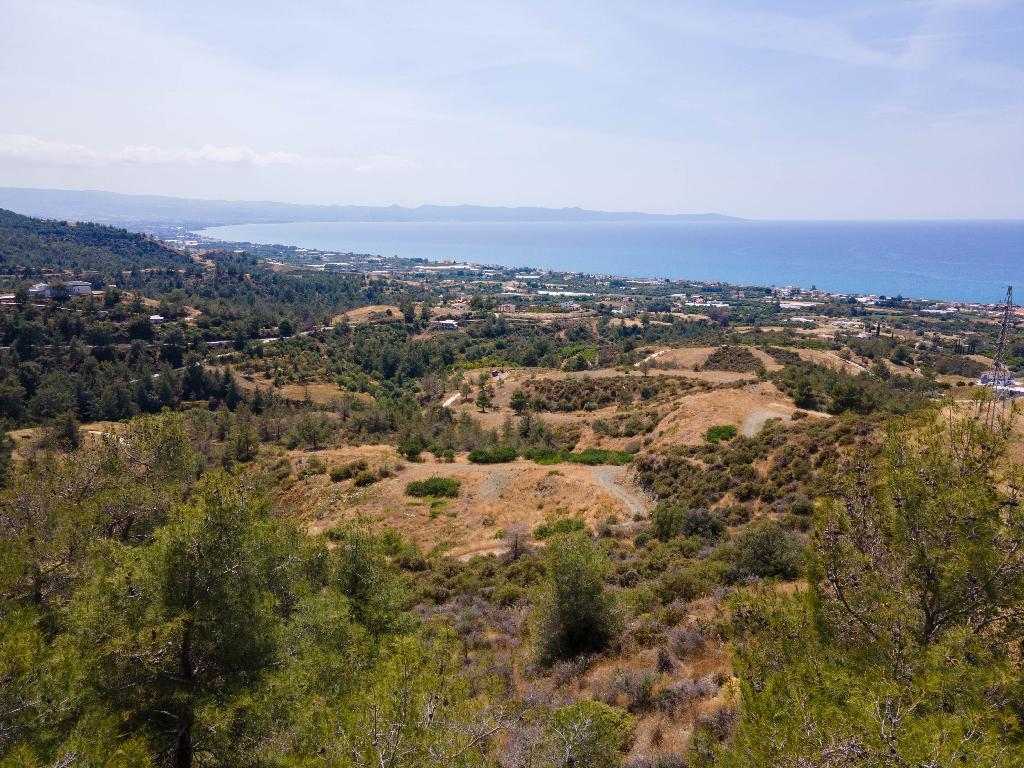 Field-Agia Marina (Chrysohous)-PR36729