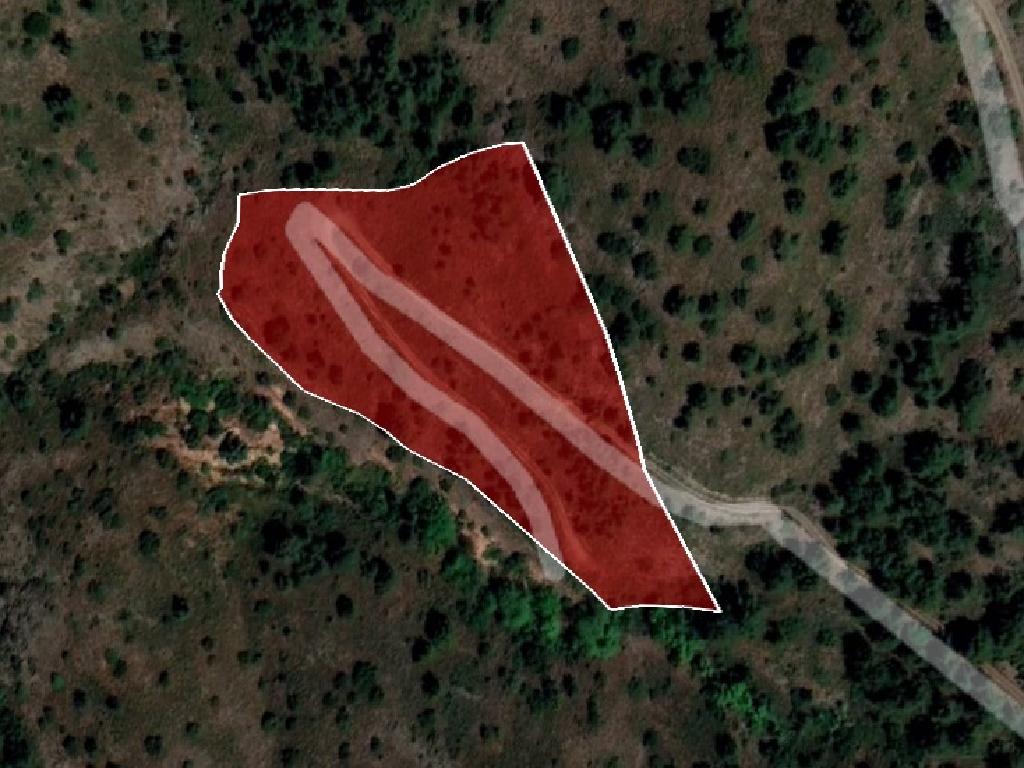 Field-Gourri-PR37959