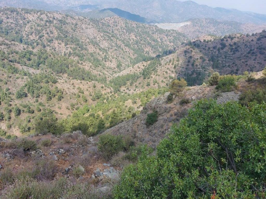 Field-Gourri-PR37959