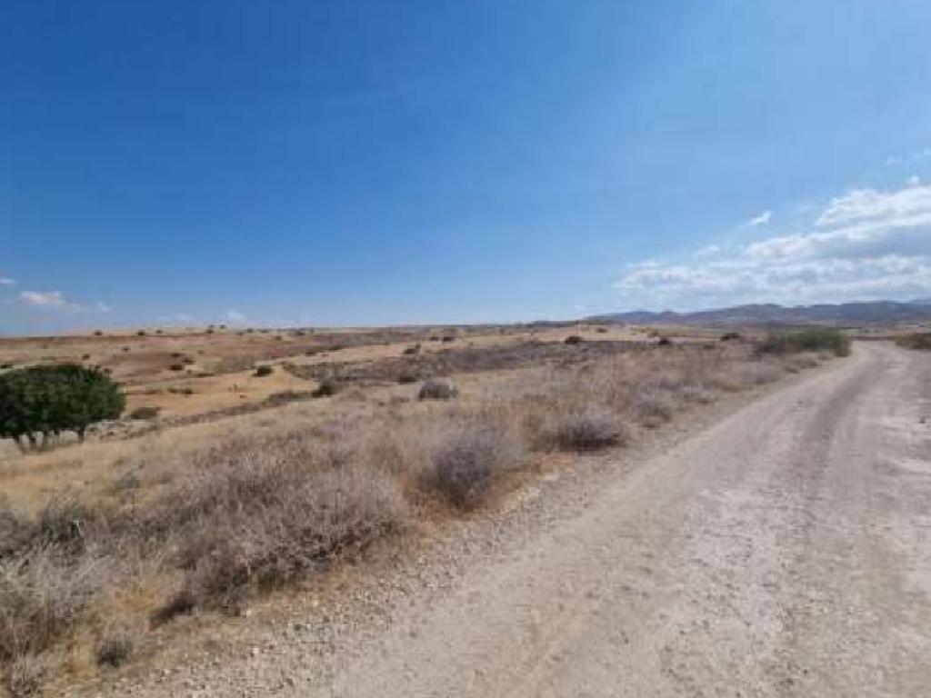 Field - Potami, Nicosia
