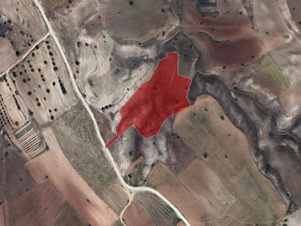 Field - Potami, Nicosia