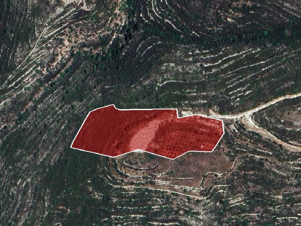 Field-Koilani-PR38780