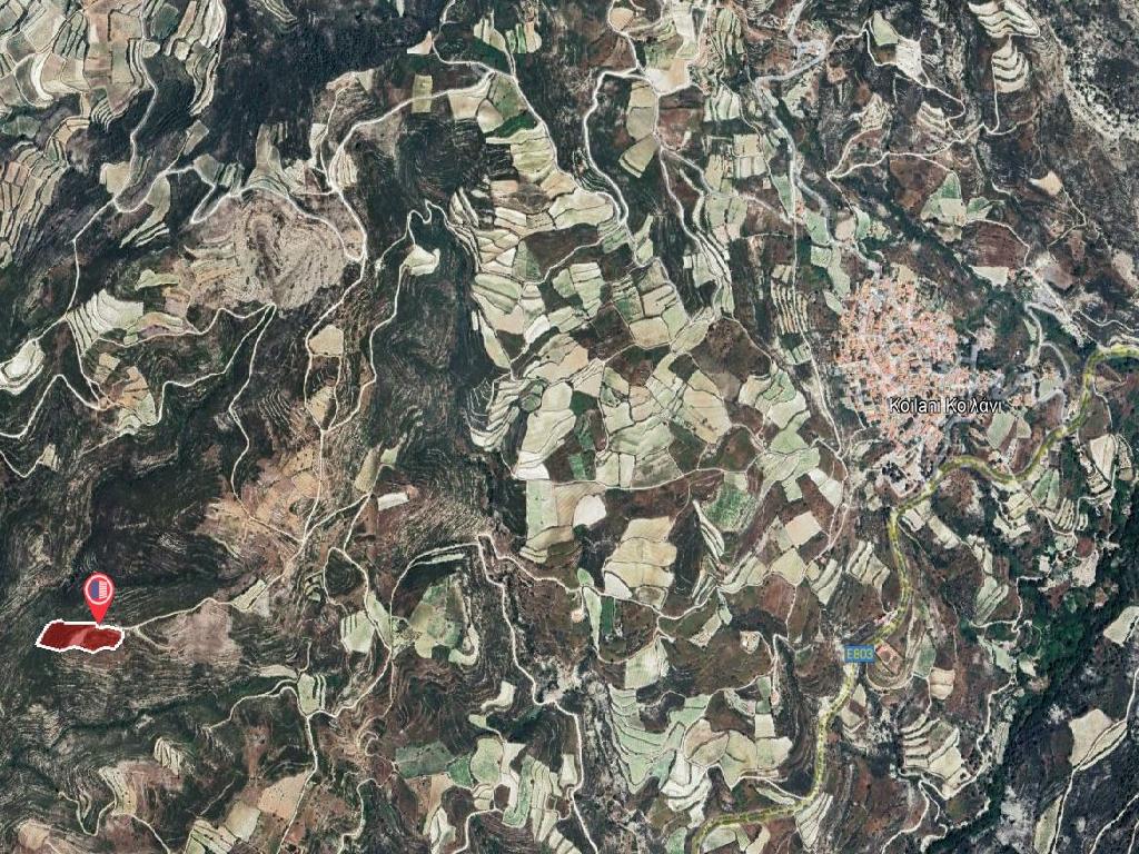 Field-Koilani-PR38780