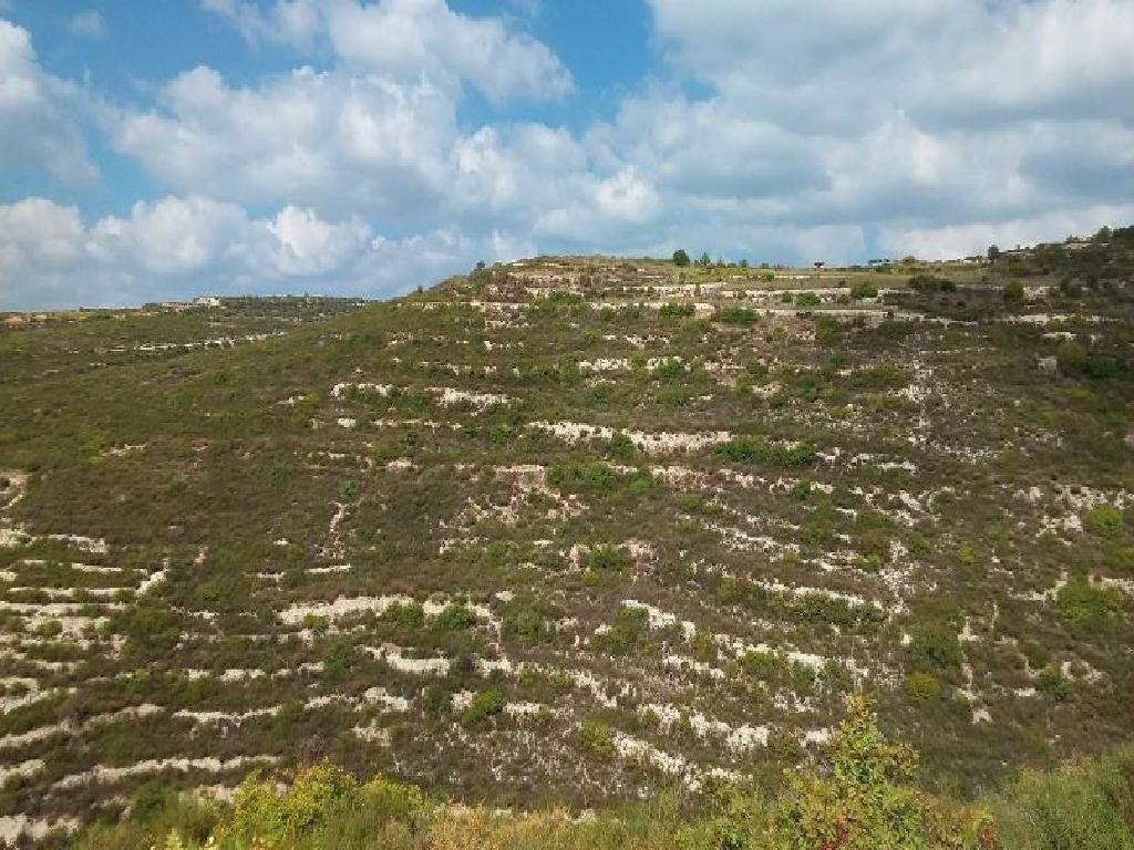 Field-Koilani-PR38780