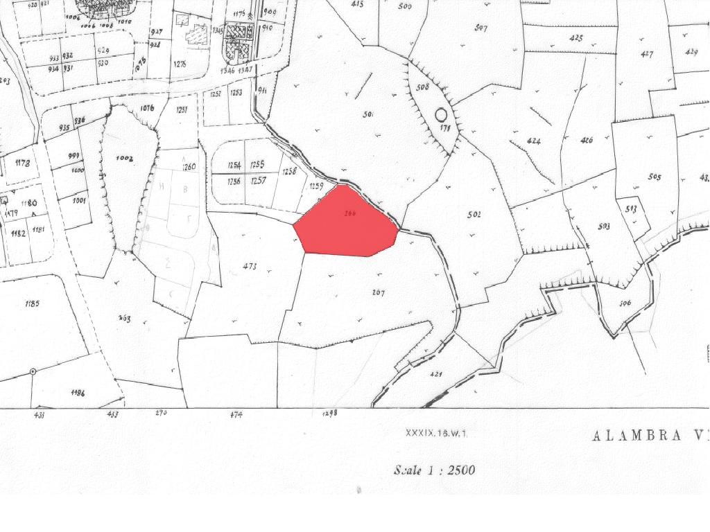 Field-Pera Chorio-PR39329